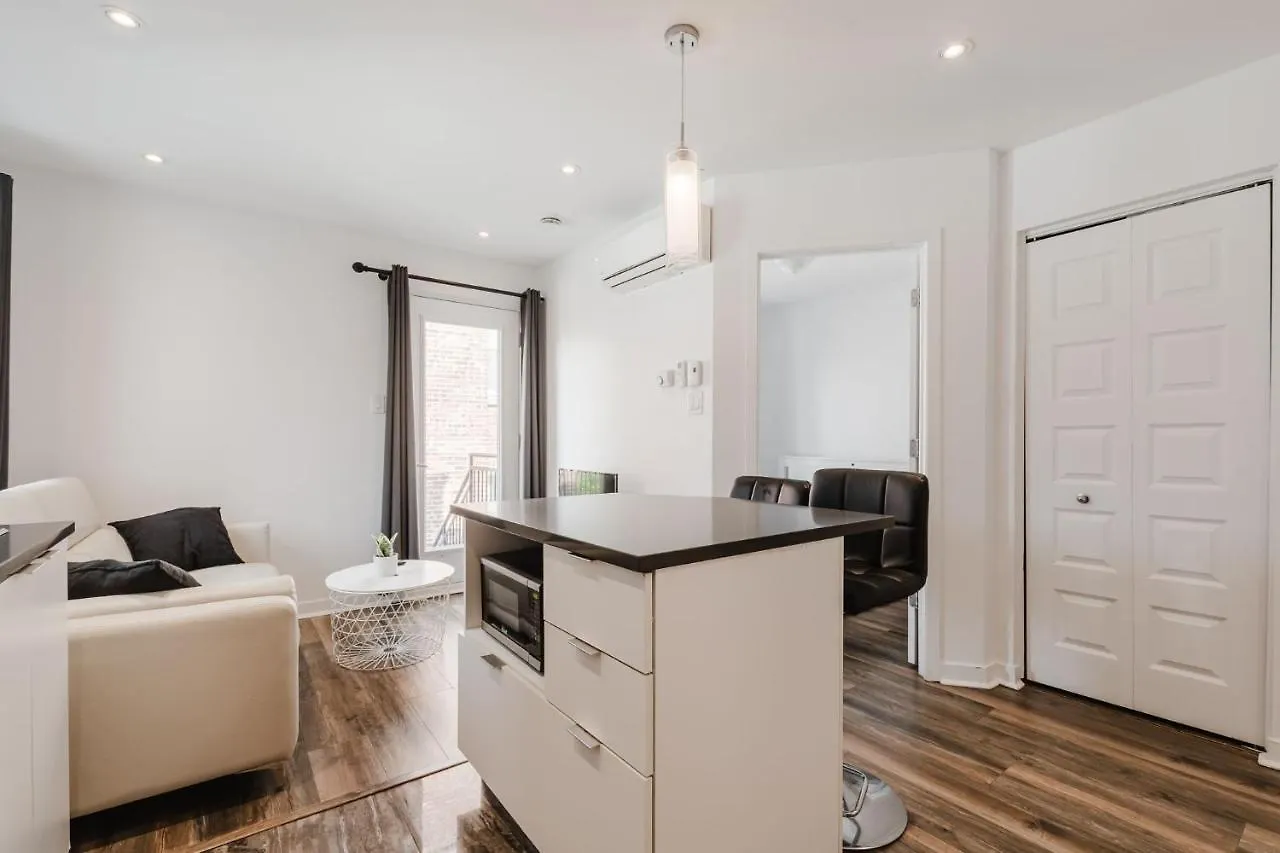One Bedroom Apartment Near Downtown 302 Montreal