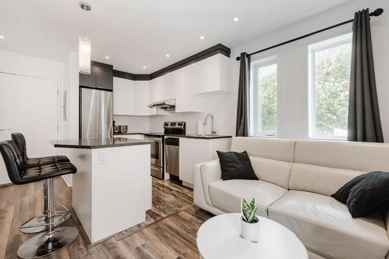 One Bedroom Apartment Near Downtown 302 Montreal